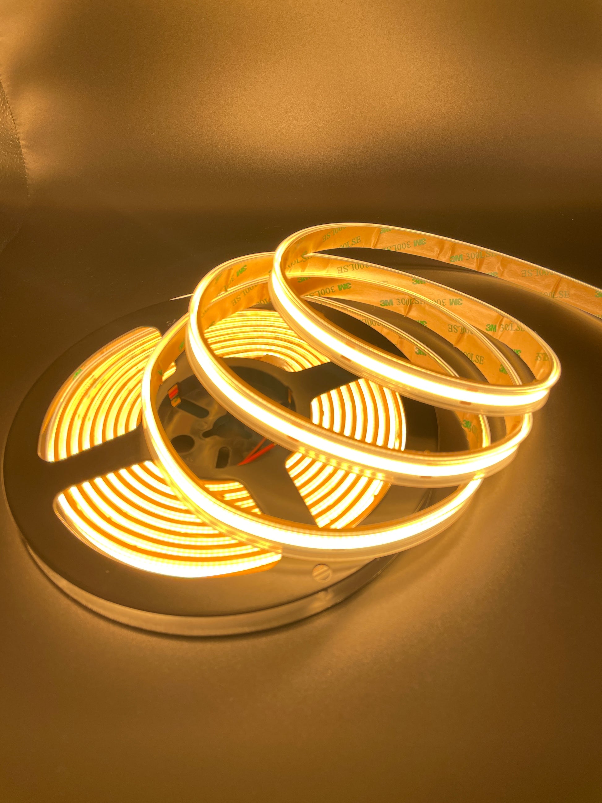 LED Strip Light 2700K-Outdoor